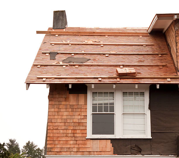 Affordable Siding Repair and Maintenance Services in Punta Rassa, FL